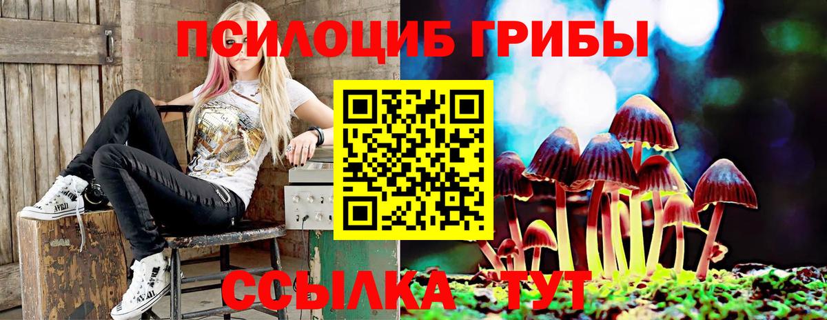 Лысьва  Псилоцибиновые грибы Cubensis  Вход с VPN  Псилоцибиновые грибы прущие грибы 