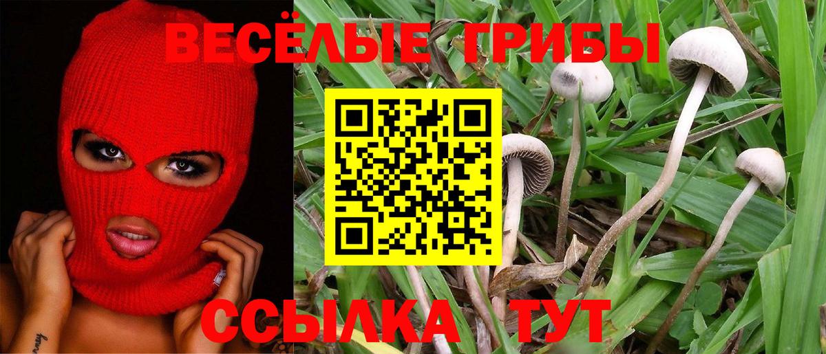 Галлюциногенные грибы мицелий Лысьва